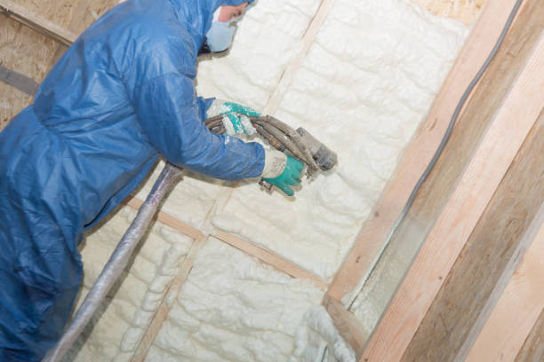 Best Basement Insulation  in USA